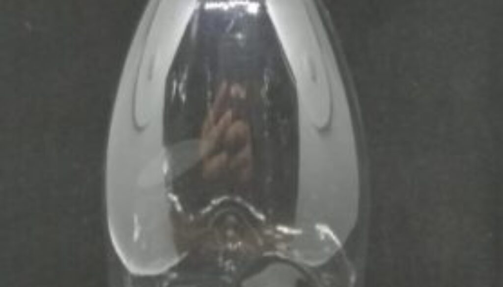 Botol cantik 350ml tipis